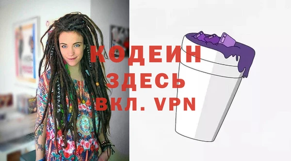индика Володарск