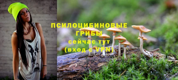 mdma Вяземский