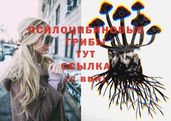 индика Володарск