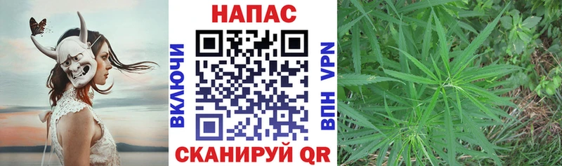 mega ссылки  Ивангород  Бошки Шишки конопля  купить наркоту 
